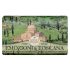 Nesti Dante Nesti dante emozioni in toscana natural soap – villages and monasteries, 8.8oz, 8.8 Ounce Nesti Dante Nesti dante emozioni in toscana natural soap – villages and monasteries, 8.8oz, 8.8 Ounce