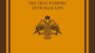 Theosis: The True Purpose of Human Life (Theosis: The True Meaning of Human Life)