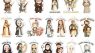 Catholic Keychain Saints Keychain Catholic Gifts for Women Men Baptism Confirmation Christian Church Souvenir