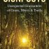 Signposts: Unexpected Encounters of Grace, Mercy & Truth
