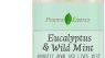 Eucalyptus & Wild Mint Room Spray & Linen Spray, Home Fragrance, 8.45 fl oz