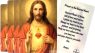 Westmon Works Sacred Heart of Jesus Prayer Cards – Laminated, Made in USA, Pack of 10 Catholic Holy Cards with Bonus Irish Blessing Card