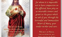 Sacred Heart of Jesus Laminated Prayer Cards pack of 20